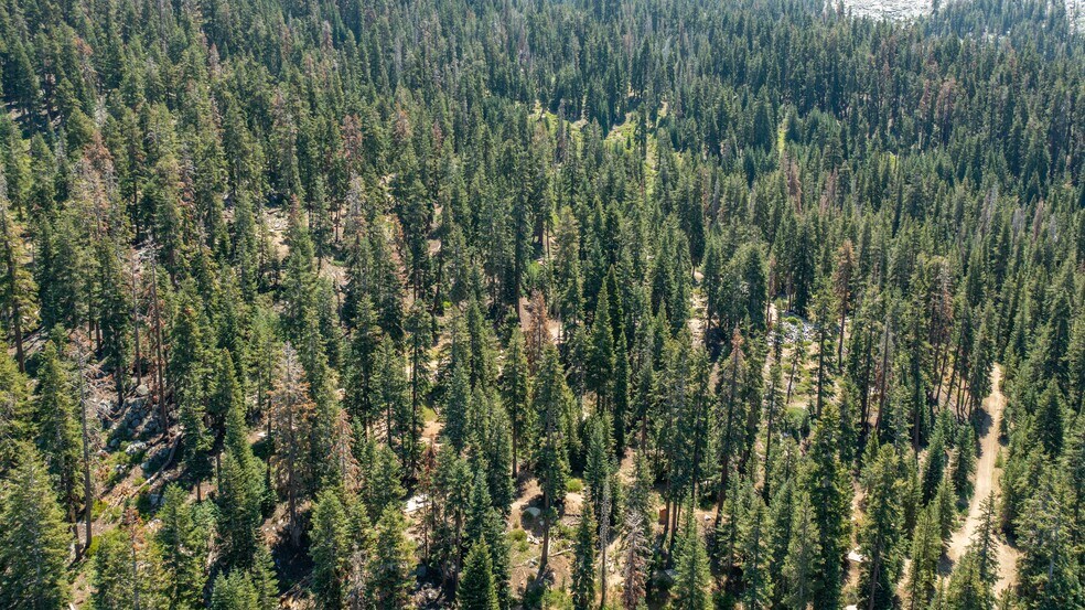 More Photos Of 65745 Big Meadows Road, Kings Canyon National Pk Land For Sale