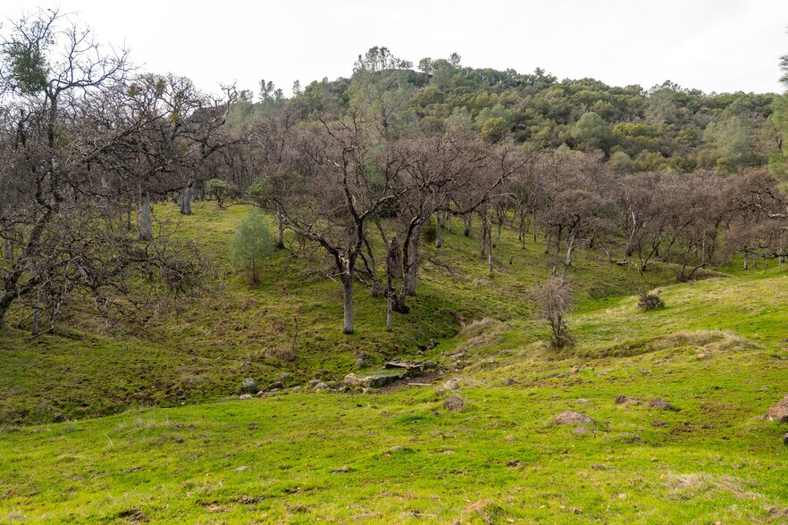 More Photos Of Skunk Gulch Rd, Vallecito Land For Sale