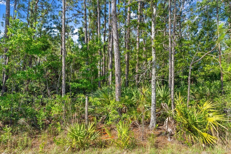 More Photos Of 1500 Town West Blvd, Port Orange Land For Sale