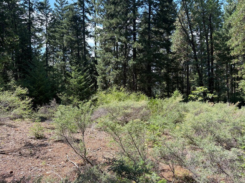 More Photos Of Castle Creek Rd, Mount Shasta Land For Sale