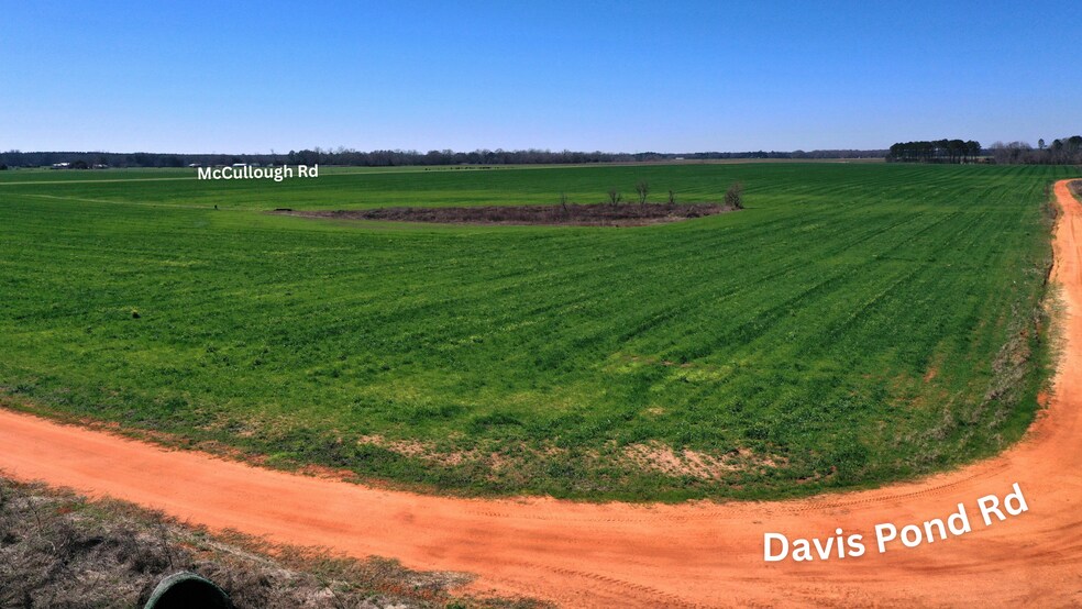 More Photos Of Lot 3 McCullough Road, Atmore Land For Sale