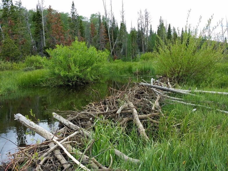 More Photos Of Jack Creek Road, Saratoga Land For Sale