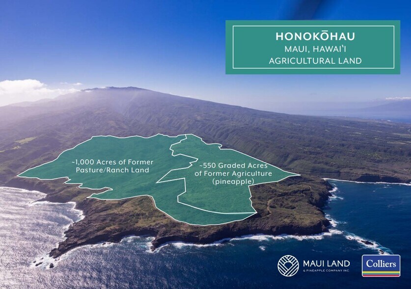 Primary Photo Of Honokohau, Wailuku Land For Lease