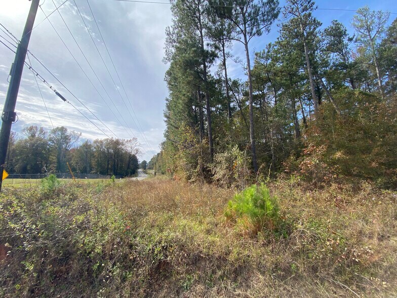 More Photos Of Lite-N-Tie Road, Macon-Bibb Land For Lease