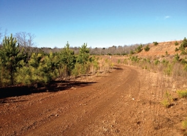 More Photos Of 435 Upper Salem Rd, Jasper Land For Sale