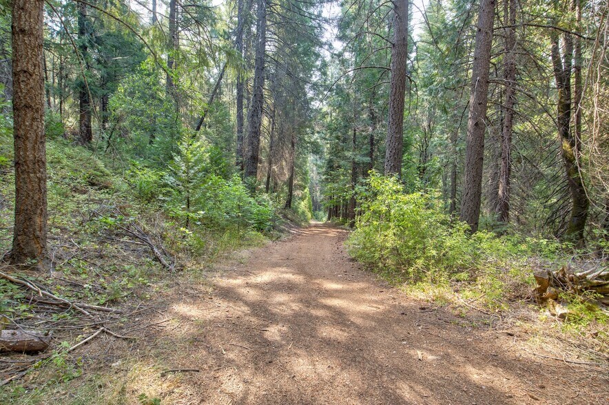 More Photos Of Mountain Dew Lane, Somerset Land For Sale