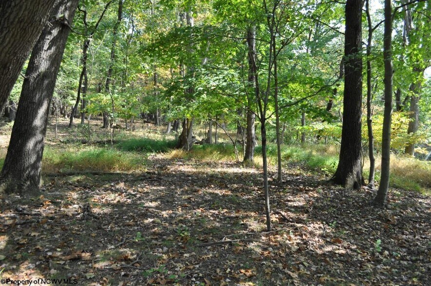 More Photos Of 3039 Earl L Core Rd, Morgantown Land For Sale