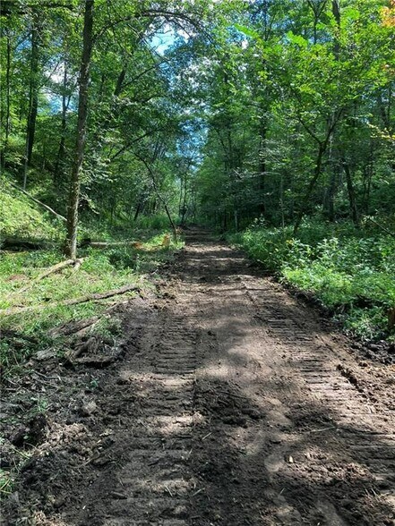 More Photos Of N3953 Bear Pen Rd, Arkansaw Land For Sale