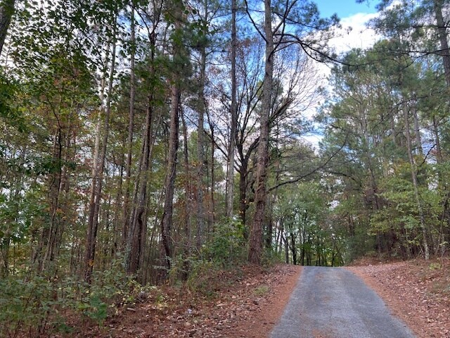 More Photos Of 100 Valley View Farm Rd SW, Cartersville Land For Sale