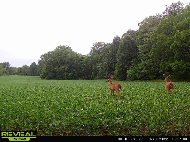 More Photos Of 7610 OH-309, Galion Land For Sale