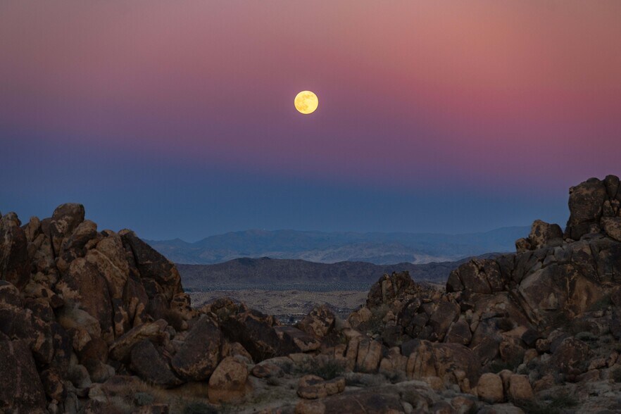More Photos Of 61271 Calle Los Amigos, Joshua Tree Land For Sale