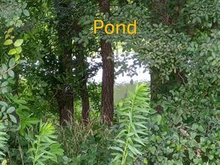 More Photos Of 24901 S FM 148, Kemp Land For Sale