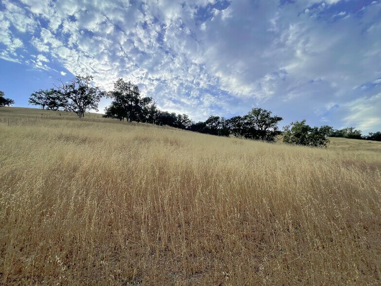 More Photos Of 0 E. 41 Hwy, Templeton Land For Sale