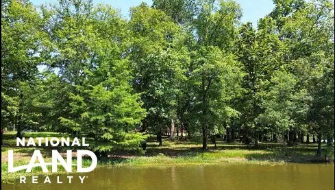 More Photos Of Halls Quarters Rd, Eutaw Land For Sale