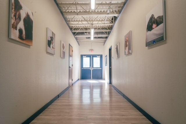 More Photos Of 21725 Clay Rd, Katy Veterinarian Kennel For Sale