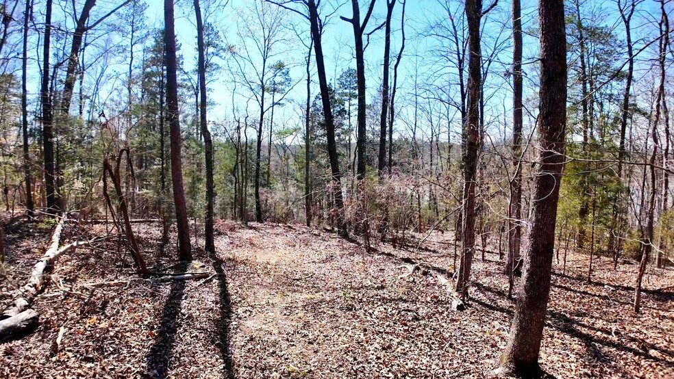 More Photos Of 1073 Boyds Mill Pond Rd, Laurens Land For Sale