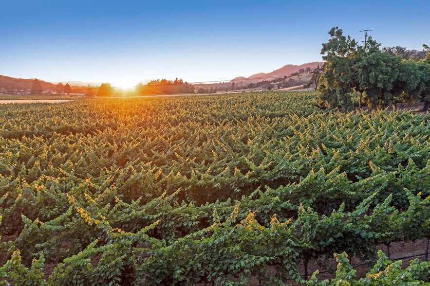 More Photos Of 125 Cristo Ln, Santa Rosa Specialty For Sale