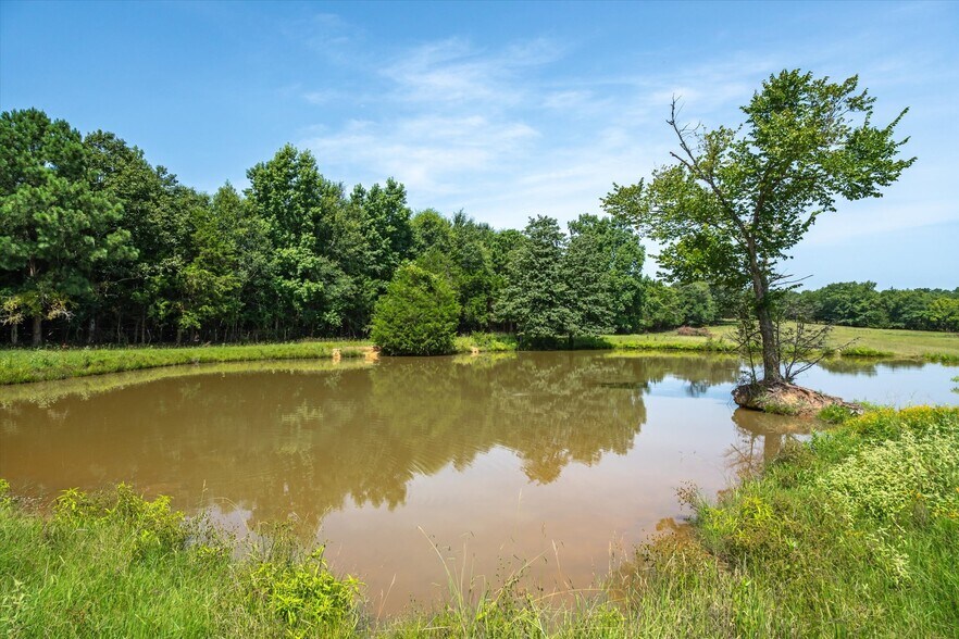 More Photos Of 00 County Road 4501, Jacksonville Land For Sale