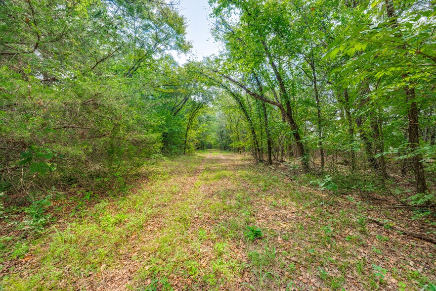 More Photos Of 1549 Starr Rd, Denison Land For Sale