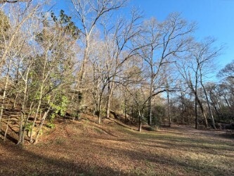 More Photos Of 23 Stallings Rd, Taylors Land For Sale