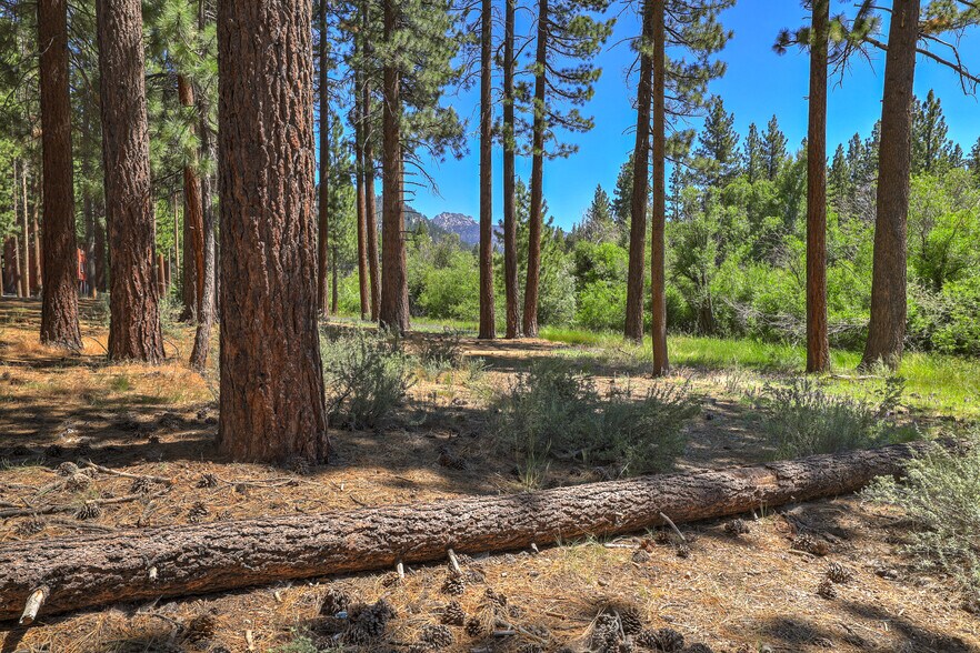 More Photos Of 1160 Bowers Ave, South Lake Tahoe Apartments For Sale