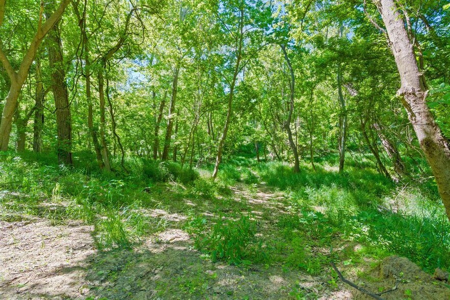 More Photos Of 665 SH 230 Loop, Smithville Land For Sale