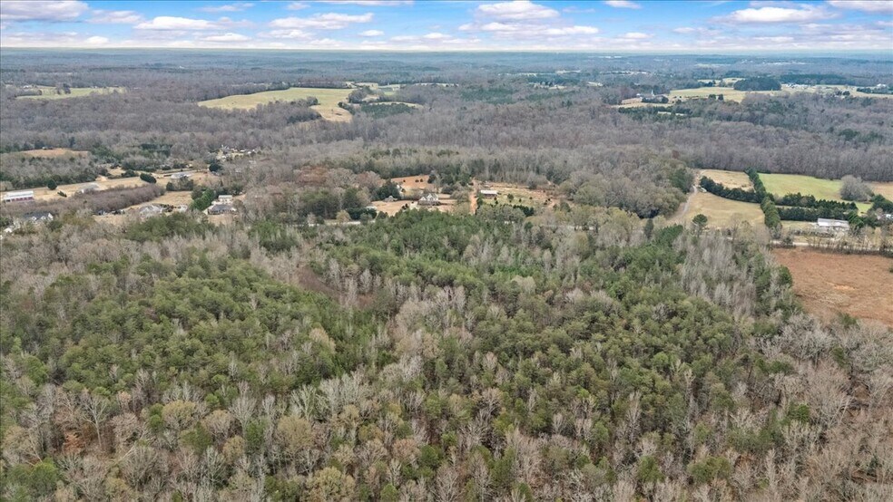 More Photos Of 2016 Hwy 417, Woodruff Land For Sale