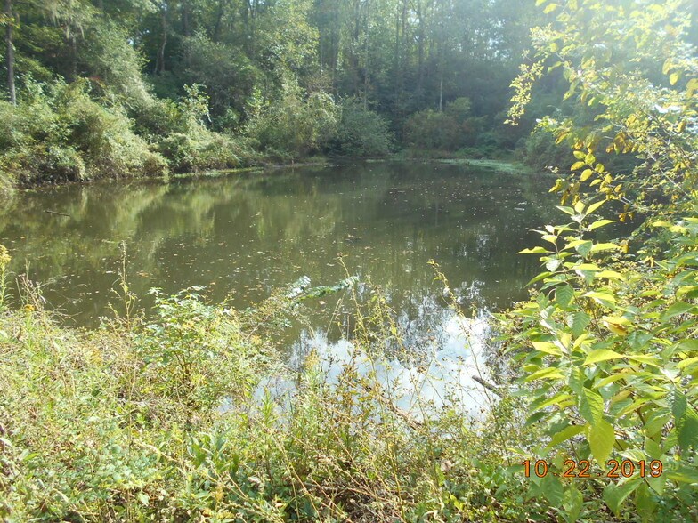 More Photos Of 282 Tuckasee King Rd, Clyo Land For Sale