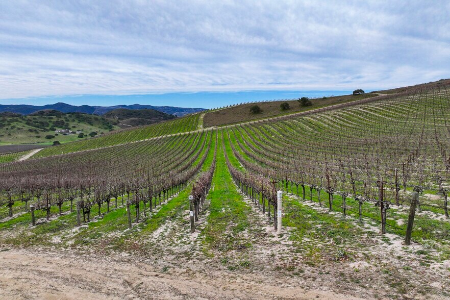 More Photos Of 7903 Cat Canyon rd, Los Alamos Land For Sale