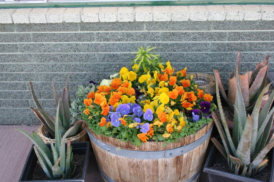 More Photos Of 227 N Hwy 89, Hatch Hotel For Sale