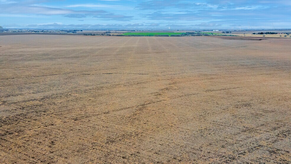 More Photos Of 1051 CR 369, Taylor Land For Sale