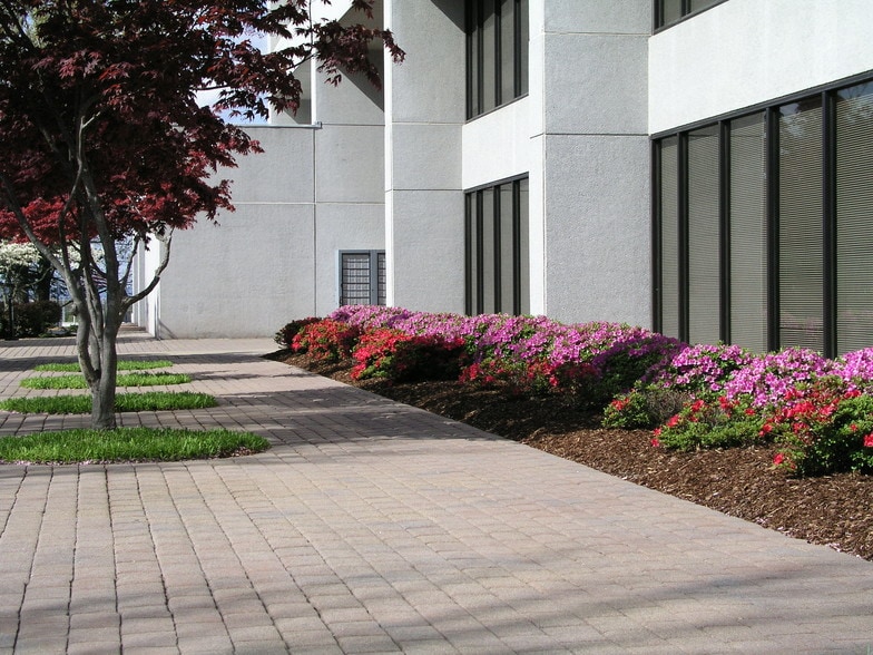 More Photos Of 208 Sunset Dr, Johnson City Office For Lease
