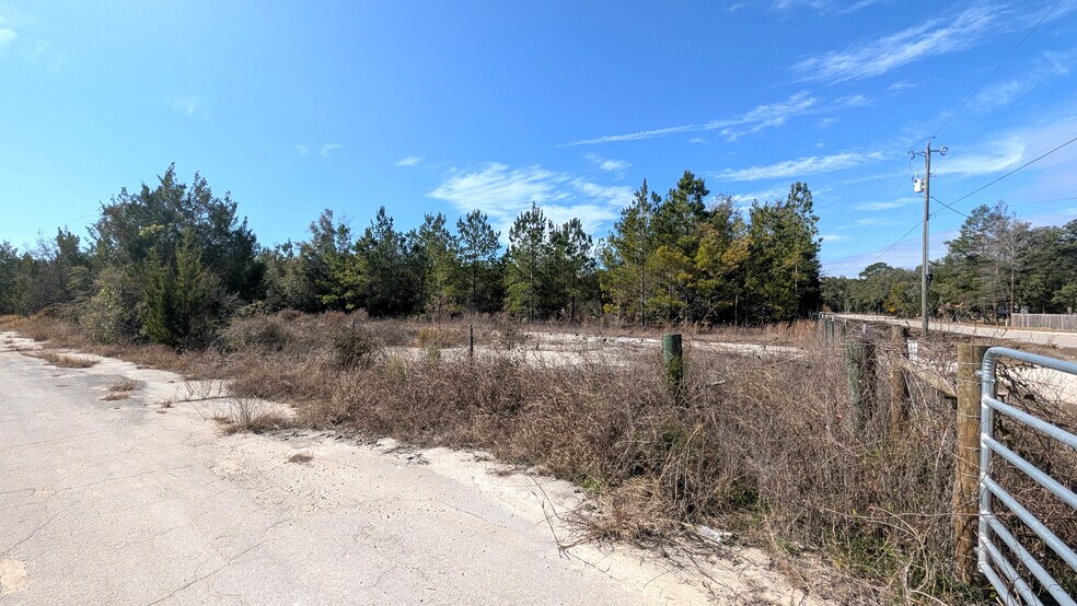 More Photos Of 13550 NW Old Fannin Rd, Chiefland Land For Sale