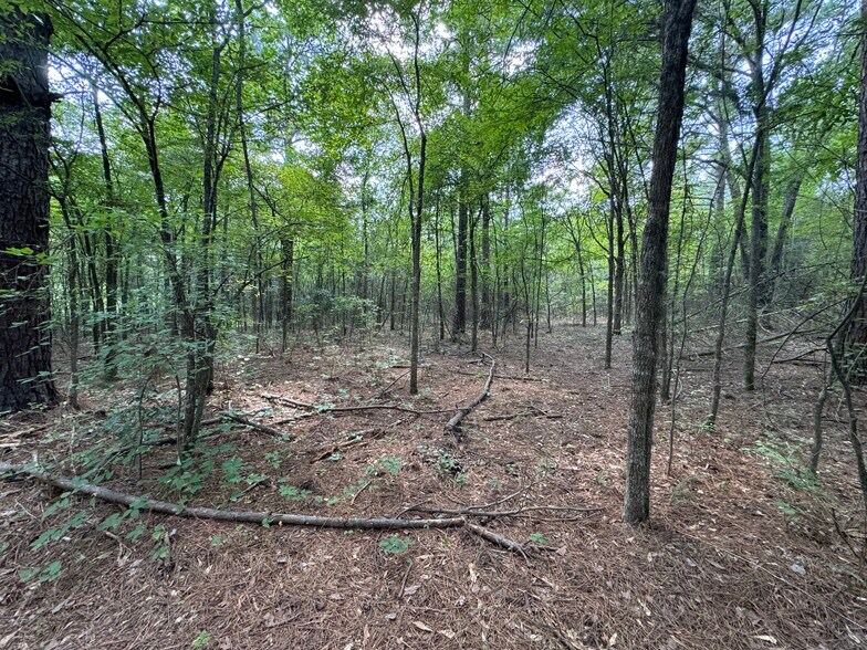 More Photos Of 000 Meadow View Ln, Flint Land For Sale