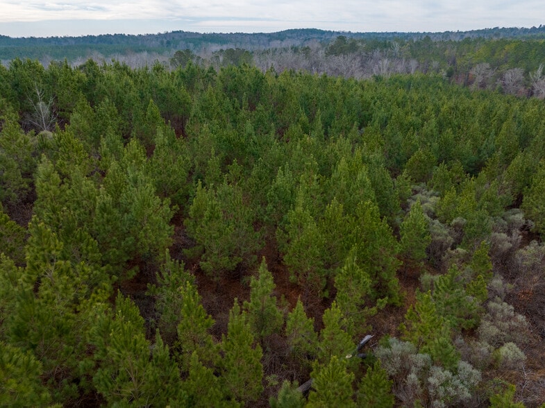 More Photos Of Jug Factory Road, Wetumpka Land For Sale