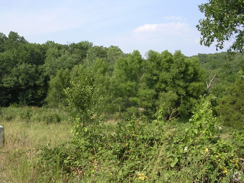 Primary Photo Of Frank Rea Blvd At Garges Way And Scott Blvd, Branson Land For Sale