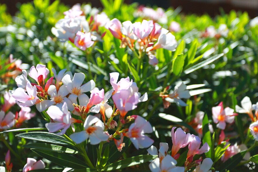 More Photos Of 6850 E Golf Links Rd, Tucson Apartments For Sale