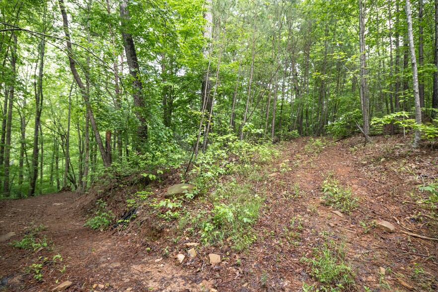 More Photos Of HWY 515 & Hidden Creek rd, Jasper Land For Sale