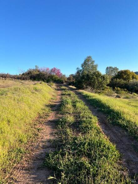 More Photos Of 7590 CA-29 Hwy, Kelseyville Land For Sale