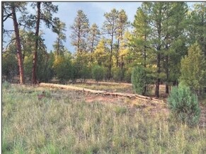 More Photos Of 4900 Arizona 260, Lakeside Land For Sale