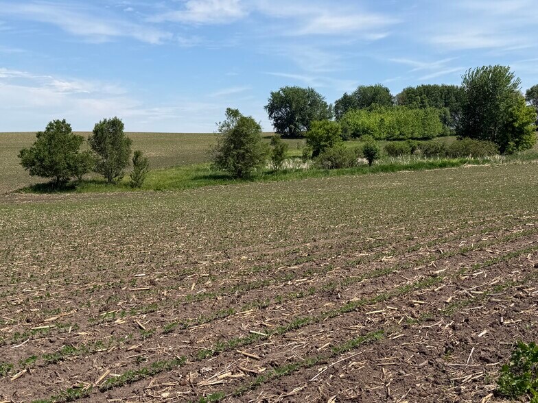More Photos Of TBD 31st NW Ave @ HWY 52/75th Street NW, Oronoco Land For Sale