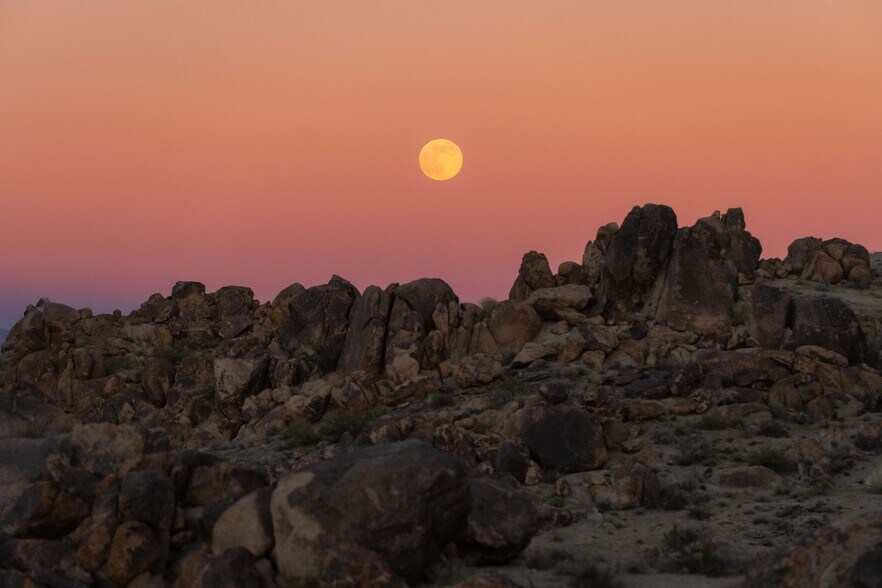 More Photos Of 61271 Calle Los Amigos, Joshua Tree Land For Sale