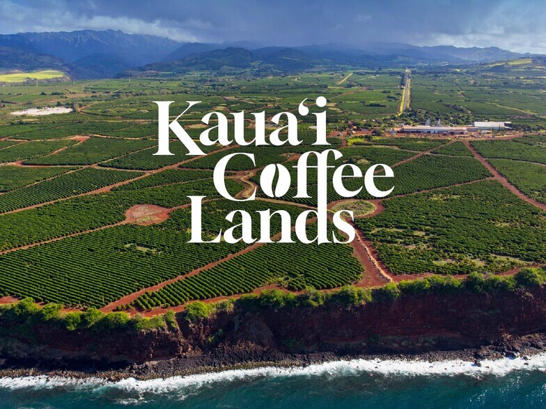 Primary Photo Of 870 Halewili rd, Kalaheo Land For Sale