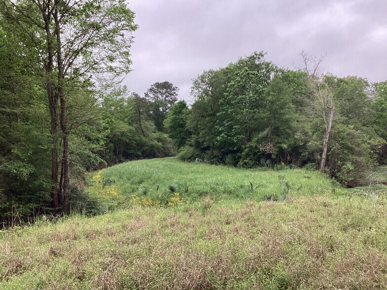 More Photos Of 0 County Road 4876, Dayton Land For Sale
