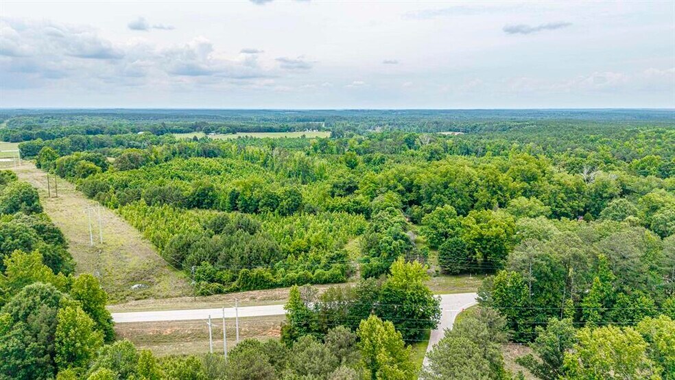 More Photos Of 0 Washington Hwy., Union Point Land For Sale