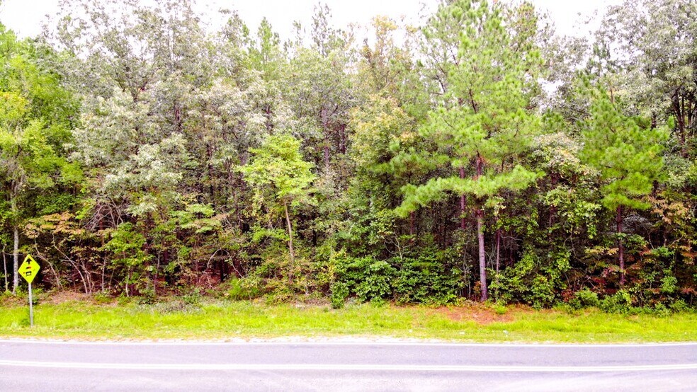 More Photos Of 300 Milton Welch (47+ acres - address # est) Rd, Sanford Land For Sale