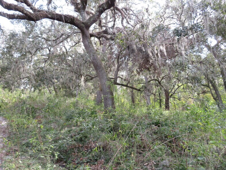 More Photos Of 14451 Curley Rd, Dade City Land For Sale