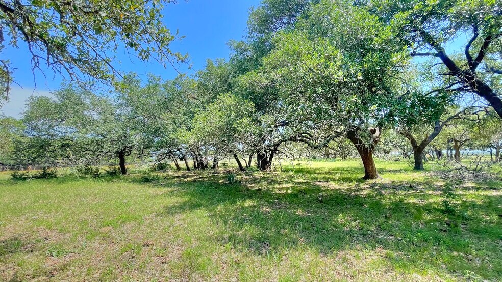 More Photos Of County Road 253, Bertram Land For Sale