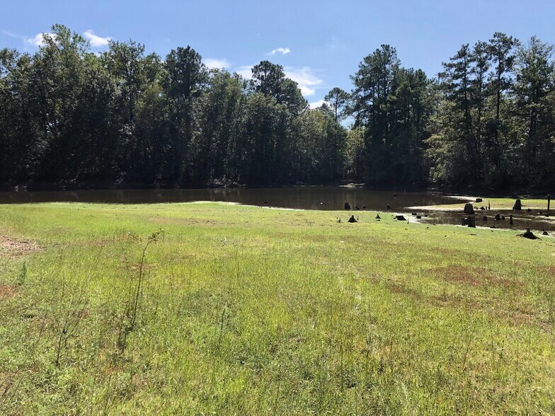 More Photos Of 521 W Us-378 Hwy, Lexington Land For Sale