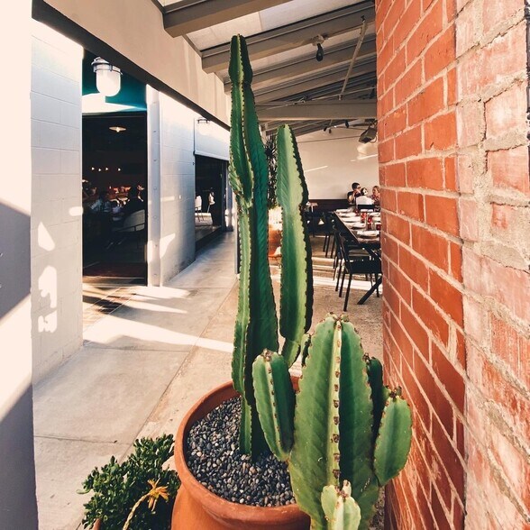 More Photos Of 2255-2259 Avenida De La Playa, La Jolla Storefront Retail Office For Lease